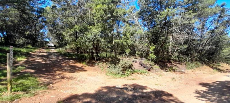 0 Bedroom Property for Sale in Hogsback Eastern Cape